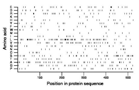 amino acid map