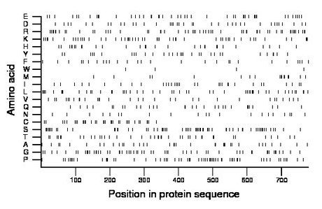 amino acid map