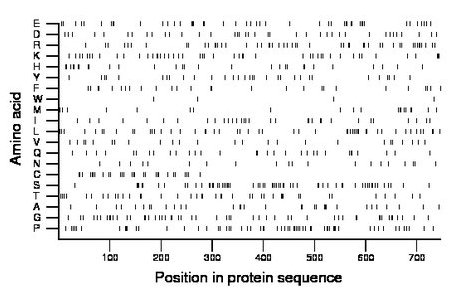 amino acid map