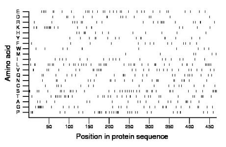 amino acid map