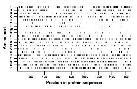 amino acid map