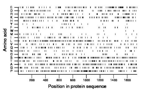 amino acid map