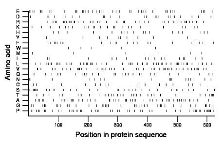 amino acid map