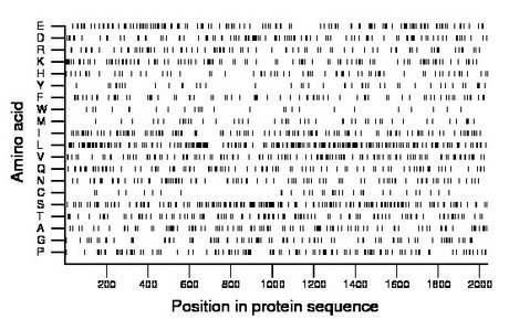 amino acid map