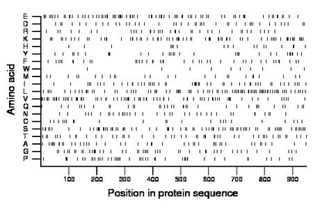 amino acid map