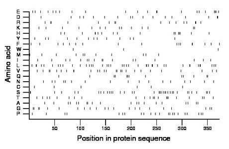 amino acid map