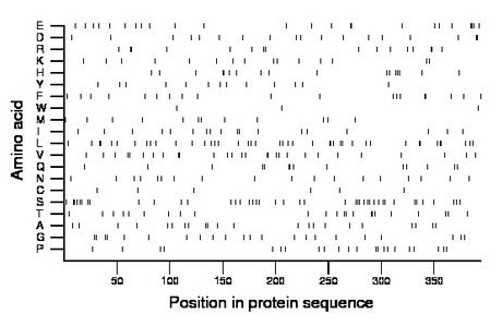 amino acid map