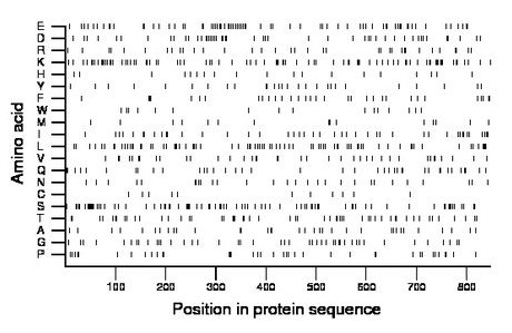 amino acid map