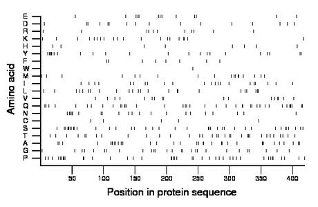 amino acid map