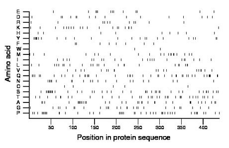 amino acid map