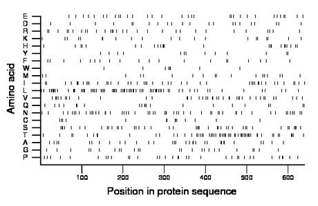 amino acid map