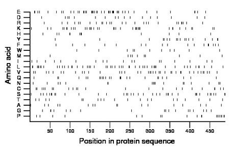 amino acid map