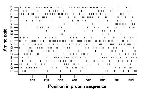 amino acid map