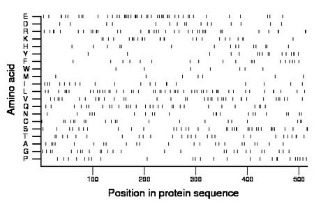 amino acid map