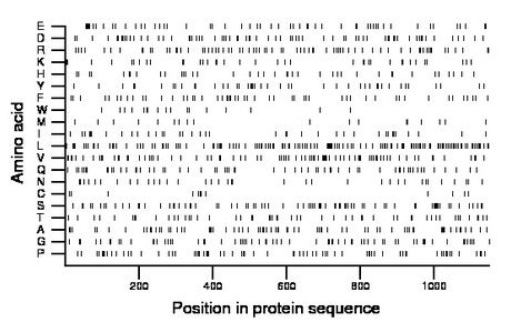 amino acid map