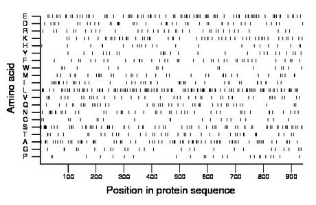 amino acid map