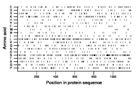 amino acid map