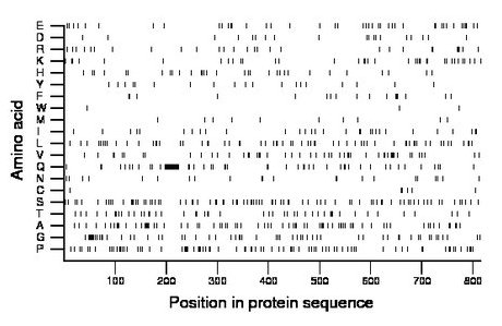 amino acid map