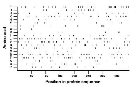 amino acid map