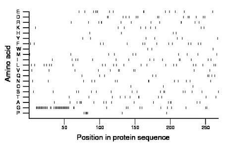 amino acid map