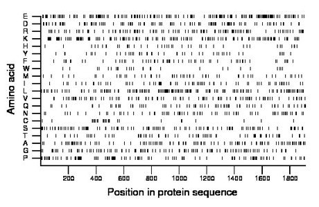 amino acid map