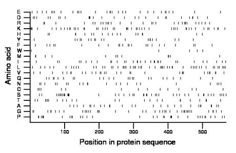 amino acid map