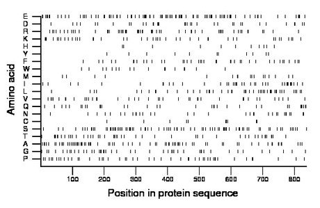 amino acid map