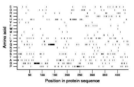 amino acid map