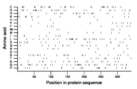 amino acid map