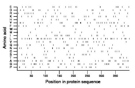 amino acid map