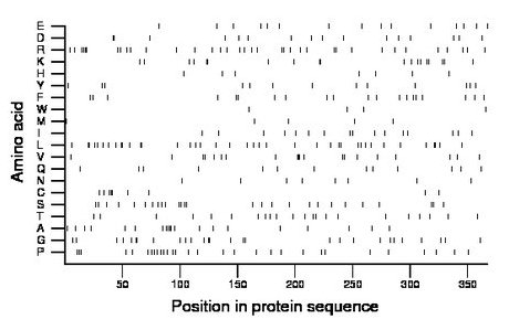 amino acid map