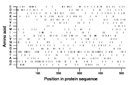 amino acid map