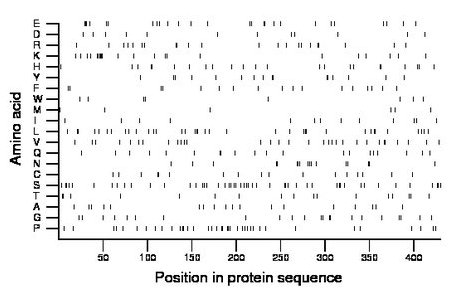 amino acid map