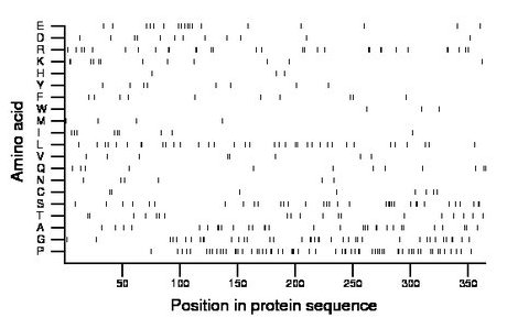 amino acid map