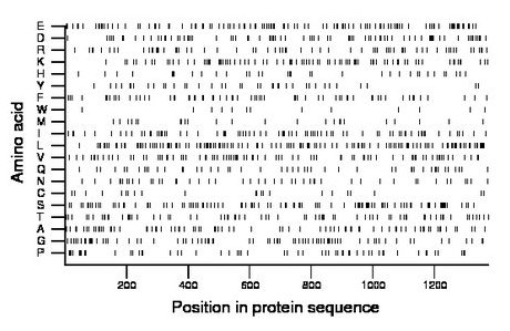 amino acid map