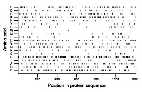 amino acid map