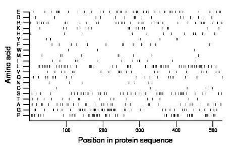 amino acid map