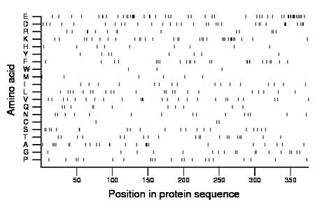 amino acid map