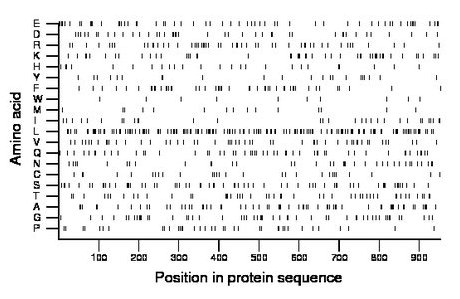 amino acid map