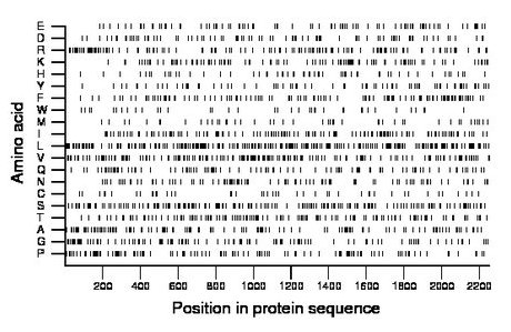 amino acid map