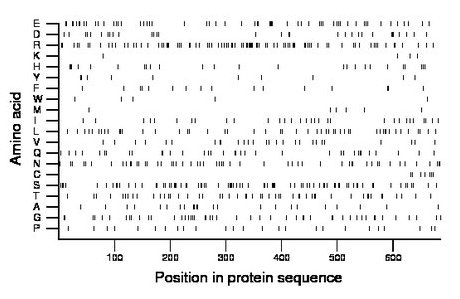 amino acid map