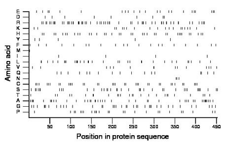 amino acid map