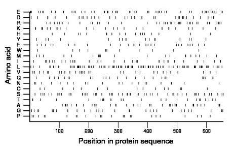 amino acid map