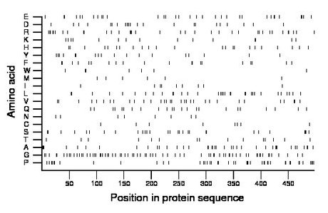 amino acid map