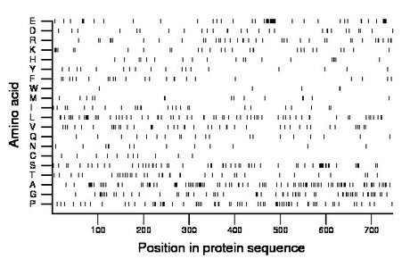 amino acid map