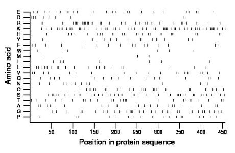 amino acid map