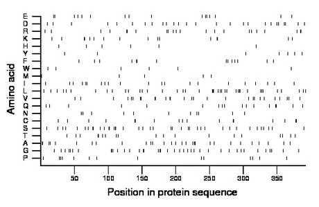 amino acid map