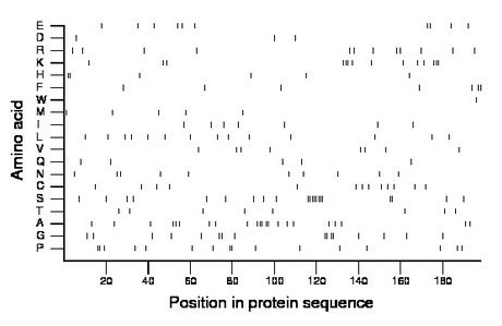 amino acid map