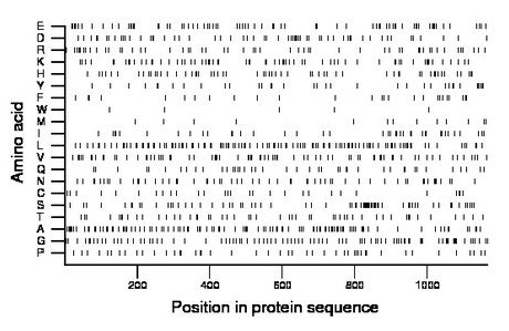 amino acid map