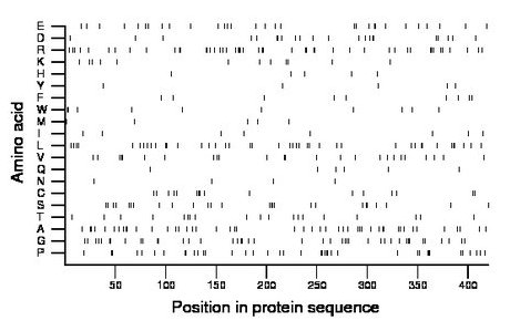 amino acid map